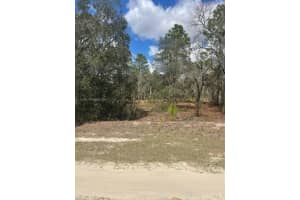 MLS# A11976063, Ocala, Florida 34481