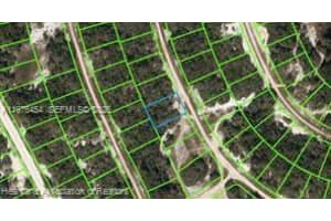 234 Rhythm Drive Lake Placid, FL 33852 - MLS#A11976454