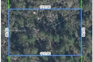 3510 Teakwood Drive Sebring, FL 33875 - MLS#A11976466