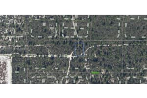 437 Souvenir Lane Lake Placid, FL 33852 - MLS#A11976557