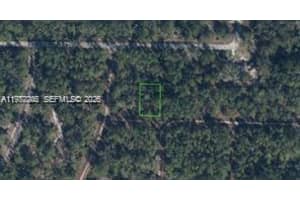 3215 Delafield Lake Placid, FL 33852 - MLS#A11977206