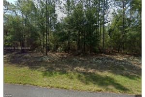  208 W Ruska Pl Citrus Springs, FL 34434 - MLS#A11979552