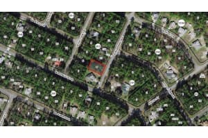 10684 N Burbank Ave Citrus Springs, FL 34434 - MLS#A11979579