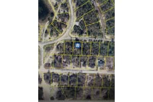 459 Ruba Ave Lake Placid, FL 33852 - MLS#A11980225