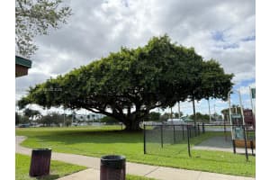 610 Ne 2nd St 205 Dania Beach, FL 33004 - MLS#A11980831