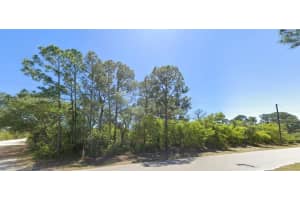 235 Deerwalk Ave Lake Placid, FL 33852 - MLS#A11980942