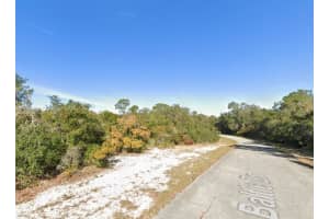 1238 Baltic Dr Kissimmee, FL 34759 - MLS#A11980982