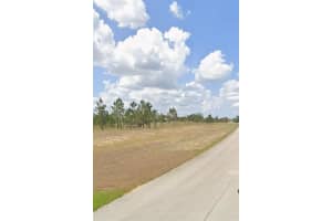 1009 Orange Creek Ln Sebring, FL 33870 - MLS#A11982137