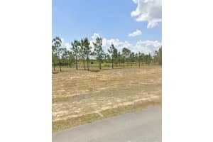 1009 Orange Creek Ln Sebring, FL 33870 - MLS#A11982137