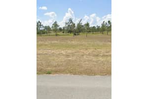 1009 Orange Creek Ln Sebring, FL 33870 - MLS#A11982137