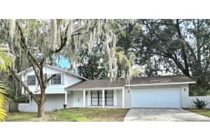 3610 Greenstone Pl, VALRICO
