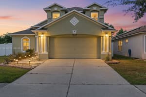 12502 Lake Vista Dr Tampa, FL 33534 - MLS#A11984914