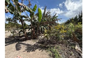 16455 Sw 207 Homestead, FL 33187 - MLS#A11985634