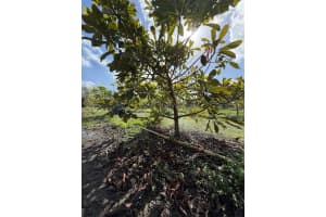 16455 Sw 207 Homestead, FL 33187 - MLS#A11985634