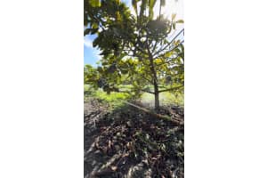 16455 Sw 207 Homestead, FL 33187 - MLS#A11985635