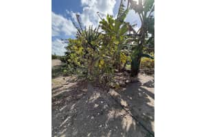 16455 Sw 207 Homestead, FL 33187 - MLS#A11985635