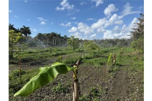 16455 Sw 207 Miami, FL 33187 - MLS#A11985636