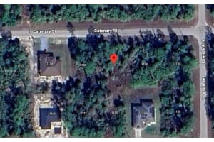 1128 Catenary St E Lehigh Acres, FL 33974 - MLS#A11985668