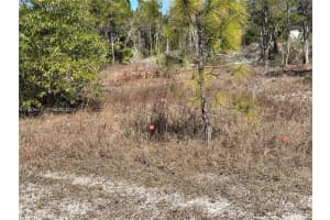 761 Lehigh Acres Lehigh Acres, FL 33974 - MLS#A11987443