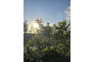  208 Ave Miami, FL 33196 - MLS#A11987724