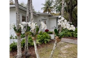 445 Minorca Ave , Coral Gables, FL 33134 - MLS#A11987927