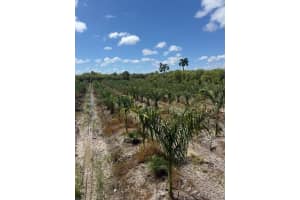  122 Ave Sw 330 St Homestead, FL 33035 - MLS#A11988085