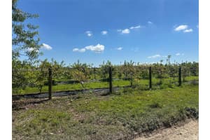 212xx Sw 360 St Homestead, FL 33034 - MLS#A11989154