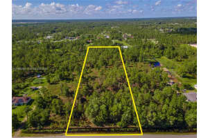 50th Ave Ne Everglades Blvd N Naples, FL 34120 - MLS#A11990265