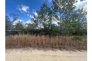 123 Dartmoor Ave Lake Placid, FL 33852 - MLS#A11991247