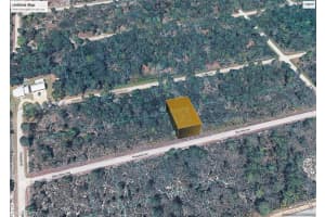 3413 Pheasant Ave Lake Placid, FL 33852 - MLS#A11991341