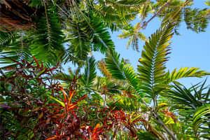 MLS# A11991950, Miami, Florida 33138