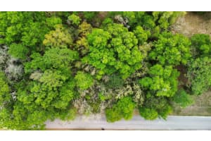  Lot 29 Nw 120th Ave , Ocala, FL 34482 - MLS#A11994096