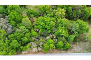  Lot 29 Nw 120th Ave , Ocala, FL 34482 - MLS#A11994096