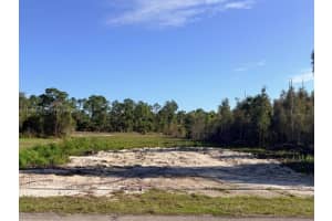 870 Arturo St , Lehigh Acres, FL 33974 - MLS#A11994567