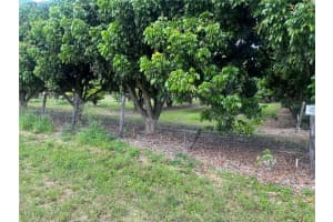  Sw 344 St. Homestead, FL 33034 - MLS#A11995485