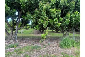  Sw 344 St. Homestead, FL 33034 - MLS#A11995485