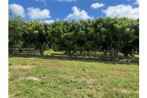 206xx Sw 344 St Homestead, FL 33034 - MLS#A11996259
