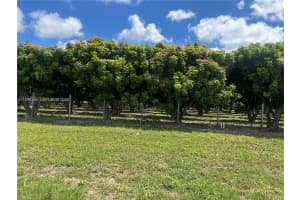 206xx Sw 344 St Homestead, FL 33034 - MLS#A11996259