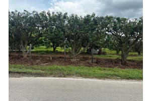 MLS# A11996269, Homestead, Florida 33034
