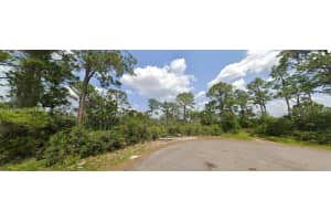 5434 Blaine Drive Sebring, FL 33872 - MLS#A11996547