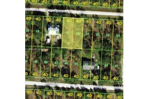 27101 Bagder Dr Punta Gorda, FL 33955 - MLS#A11996759