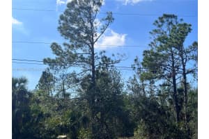 273 Overbrook St Port Charlotte, FL 33954 - MLS#A11998320