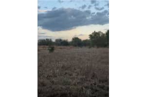 10800 S Jefferson Ave Lake Placid, FL 33852 - MLS#A11998618