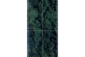 1714 & 1716 Magnolia St Sebring, FL 33875 - MLS#A11999059