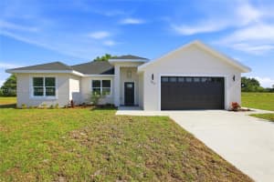 1313 Blue Heron Drive, Sebring 1313 Blue Heron Drive, Sebring