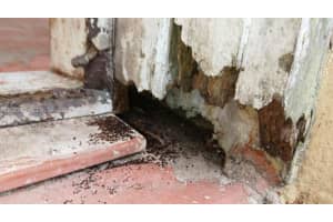 3931 Nw 108th Dr Coral Springs, FL 33065 - MLS#A12000121