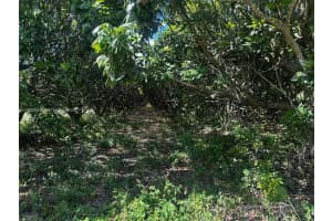 226xx Sw 220 Av Homestead, FL 33170 - MLS#A12000647