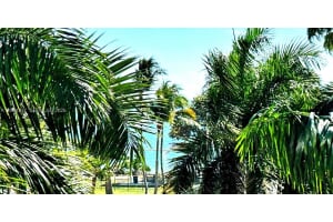 488 Ne 18th St 204, Miami