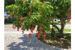 1251 Sw 11th Ter, Boca Raton