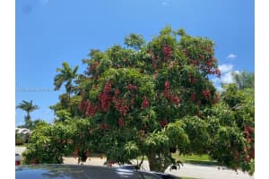 1251 SW 11th Terrace, Boca Raton, FL 33486, - MLS#A12003360